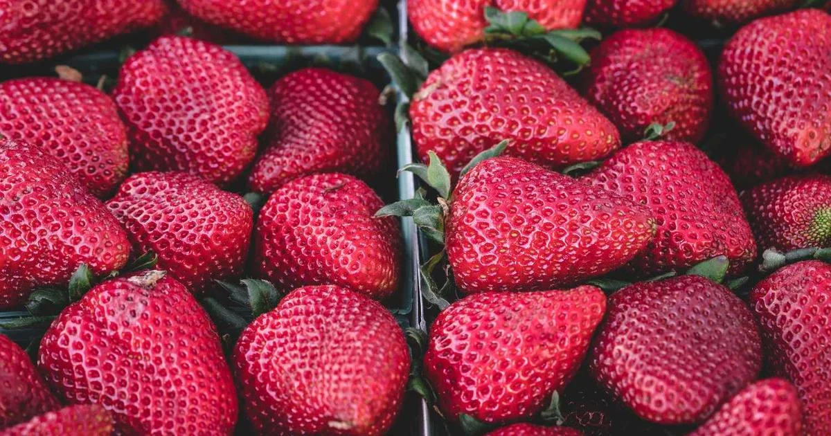 Ứng dụng Fintech TP.HCM đạt 100,000 người dùng trong 6 tháng