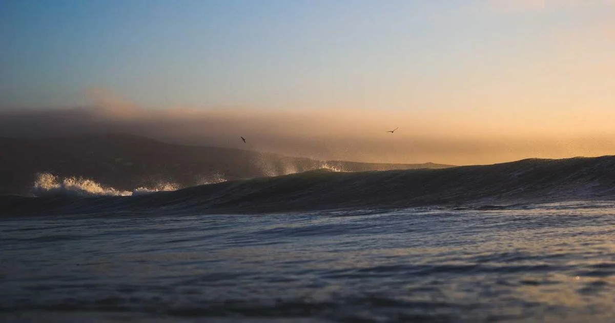 Hệ thống POS giúp chuỗi bán lẻ TP.HCM quản lý 50+ cửa hàng