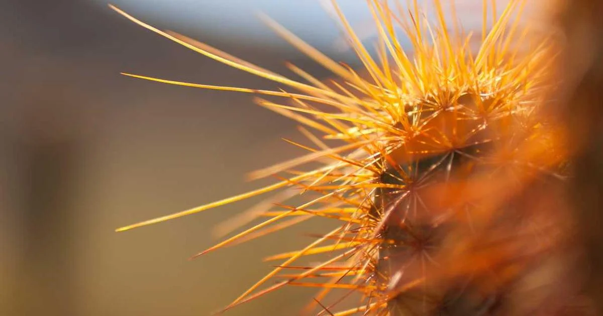 Outsourcing phần mềm tại Hải Phòng: Tiết kiệm 40% chi phí