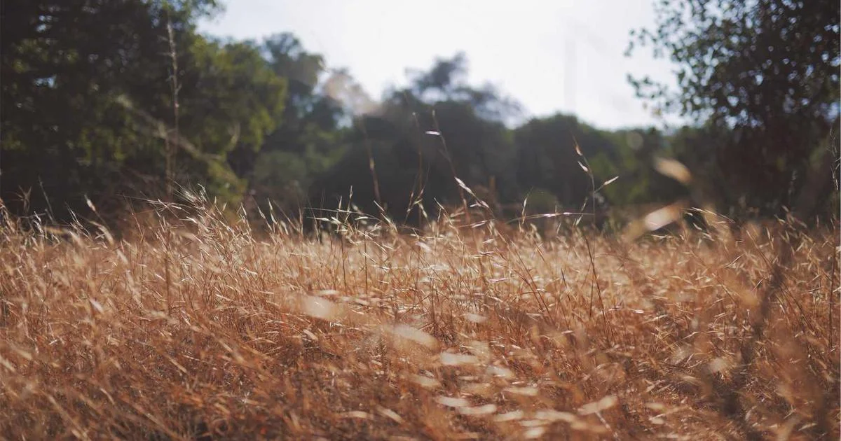 Serverless Architecture: Tối ưu chi phí cloud cho startup TP.HCM