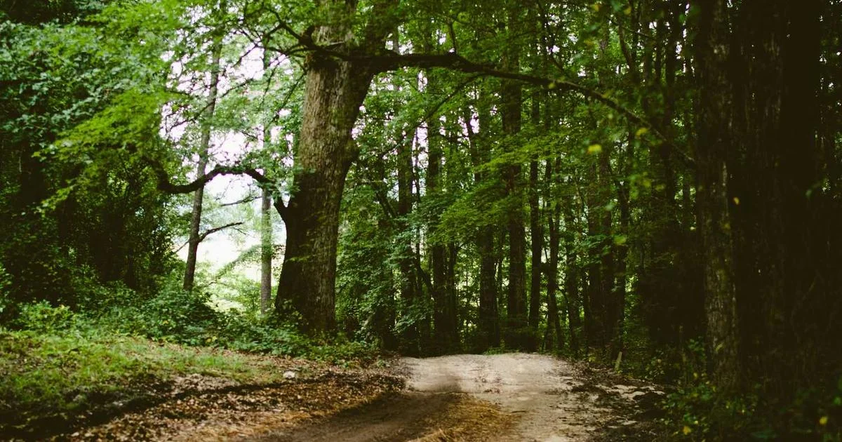 Tối ưu SEO website doanh nghiệp tại TP.HCM: Hướng dẫn 2025