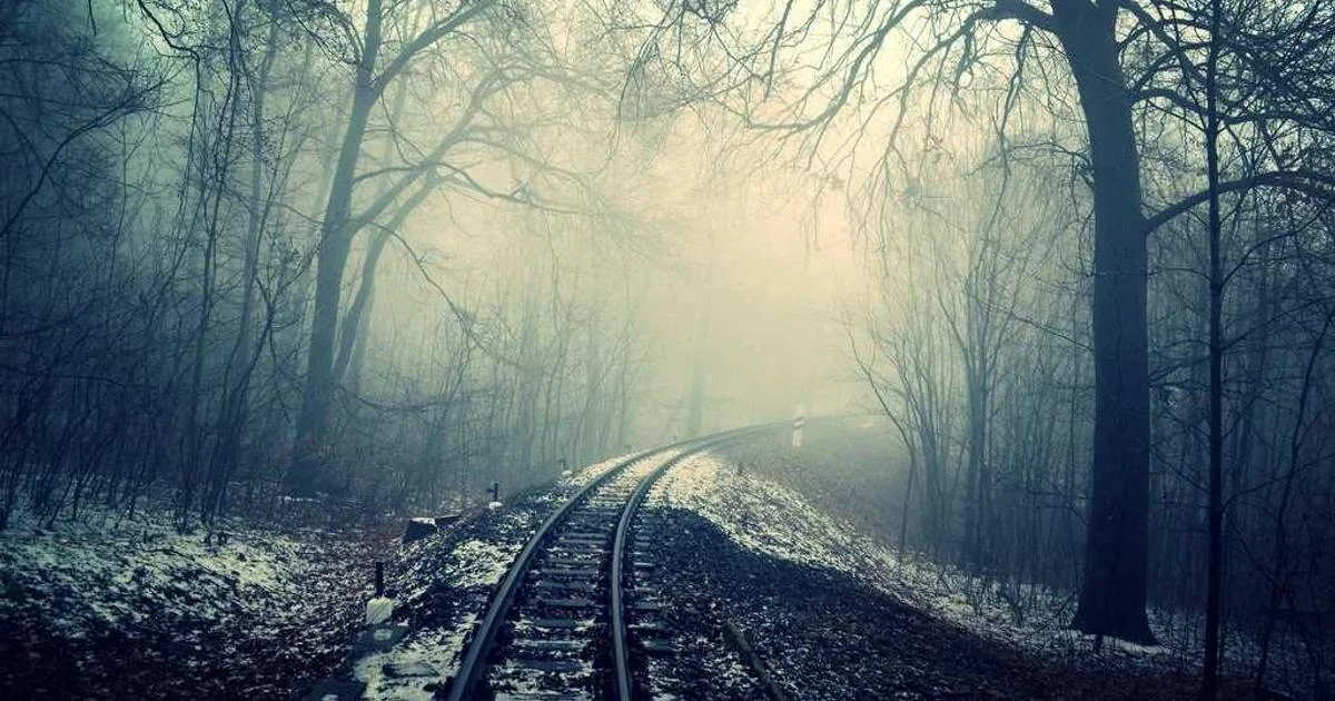 Tư vấn chuyển đổi số cho doanh nghiệp nhỏ tại Hải Phòng: Bắt đầu từ đâu?